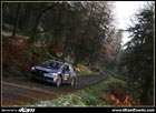 Mitsubishi Evo - Rally Car - Grizedale