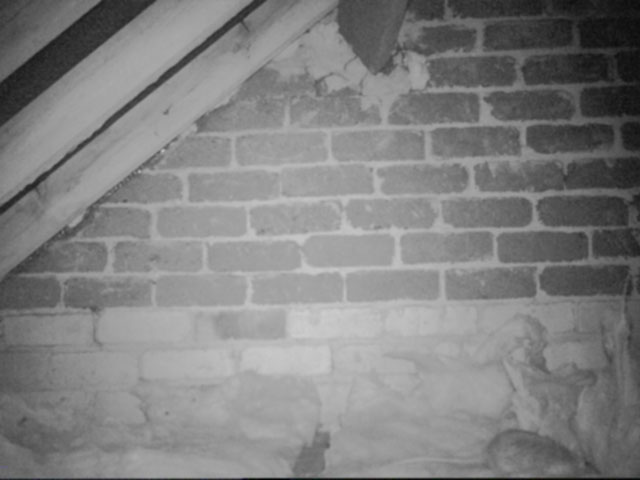 attic inspection camera photo