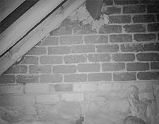 Loft Attic Inpection Camera