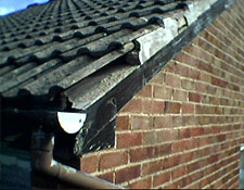 Roof survey camera photograph 